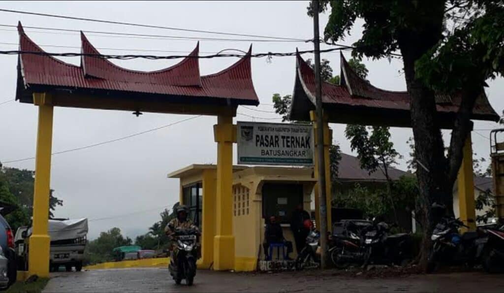 Pasar Ternak Batusangkar