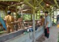 vaksinasi sapi di Padang Pariaman