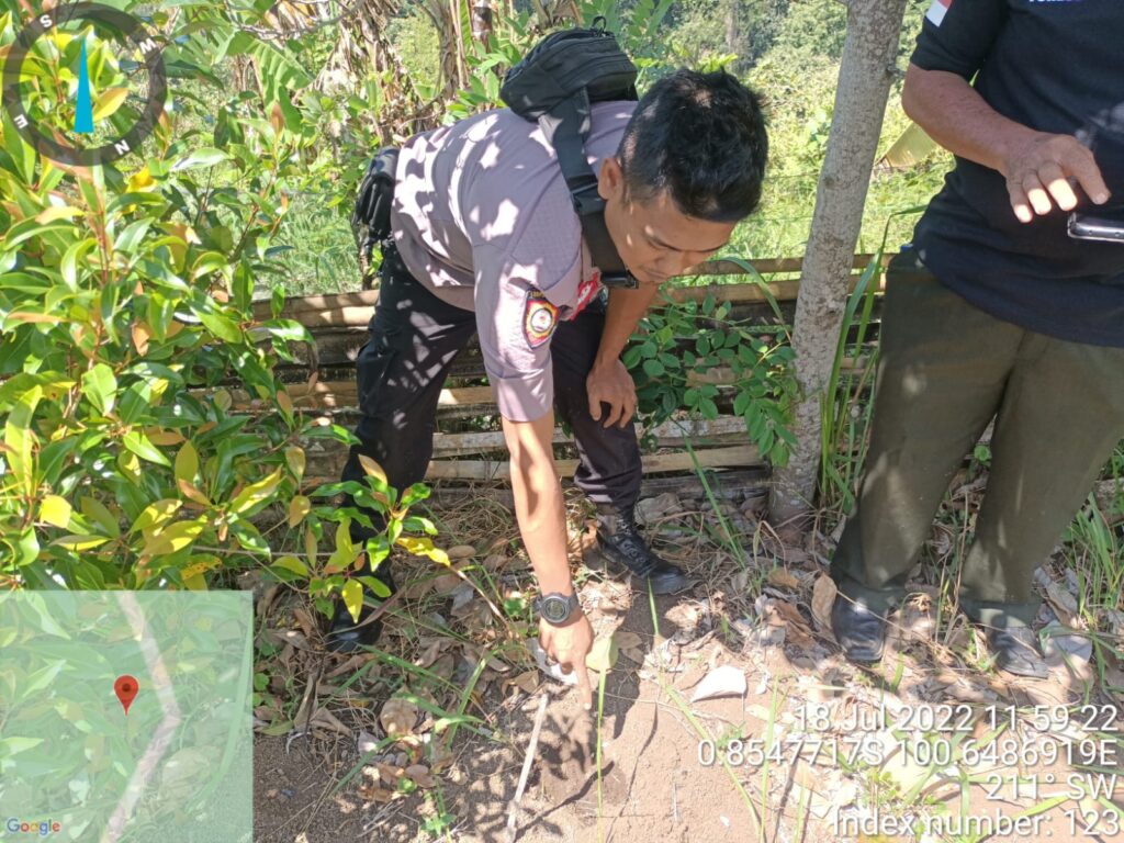 Bhabinkamtibmas Nagari Gantung Ciri bersama tim saat melakukan penelusuran jejak harimau di Nagari Gantung Ciri Solok.(Ist)