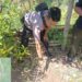 Bhabinkamtibmas Nagari Gantung Ciri bersama tim saat melakukan penelusuran jejak harimau di Nagari Gantung Ciri Solok.(Ist)