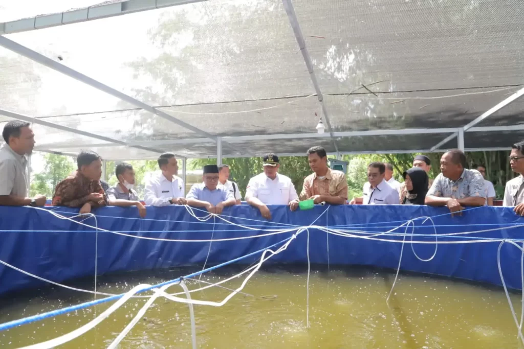 Wali Kota Solok, H. Zul Elfian Umar meninjau sarana budidaya ikan lele di Pokdakan Gawan Saiyo.(Ist)