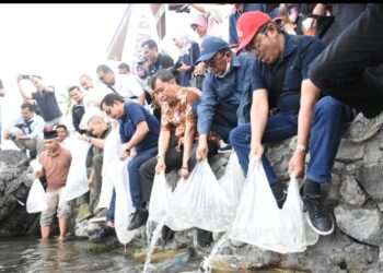 Ikan Bilih Semen Padang