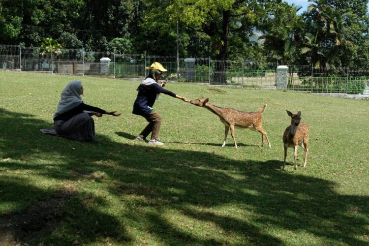 Taman Kehati Semen Padang