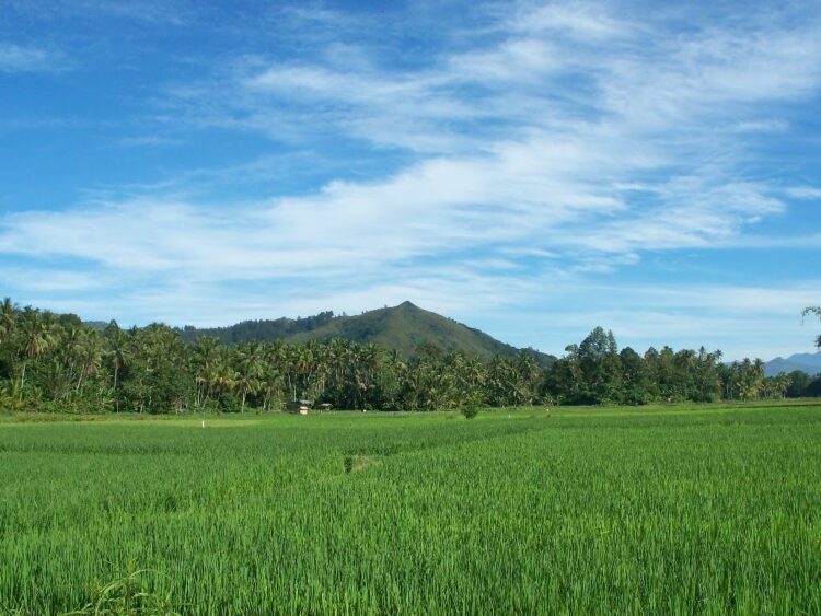 Bukit Nyunyuang