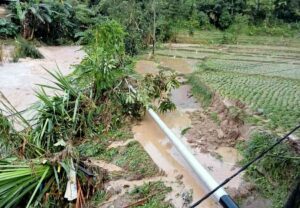 Banjir Bandang di Garabak Data Solok, Rumah hingga Sawah Warga Terendam, 8 Tiang Listrik Roboh