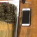 bawa ganja
