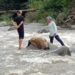 Proses evakuasi jasad pria lansia dari dalam sungai di Kecamatan Lembah Gumanti Kabupaten Solok.(Ist)