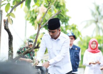 Wakil Wali Kota Solok, Ramadhani Kirana Putra menanam cabai di polybag saat pencanangan Gerakan Tanam Cabai di KWT Kalumpang Kota Solok.(Prokomp)