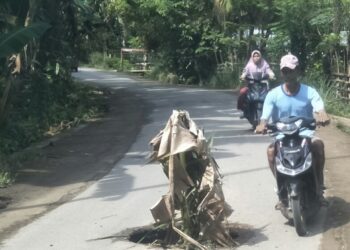 Jalan di Kambang Utara