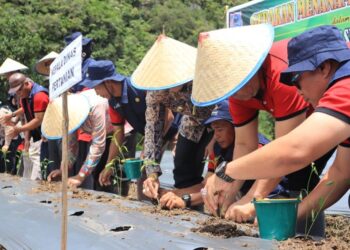Penjabat Wali Kota Payakumbuh, Rida Ananda meresmikan gerakan menanam cabai dan bawang