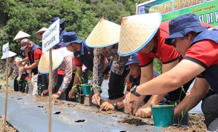 Penjabat Wali Kota Payakumbuh, Rida Ananda meresmikan gerakan menanam cabai dan bawang