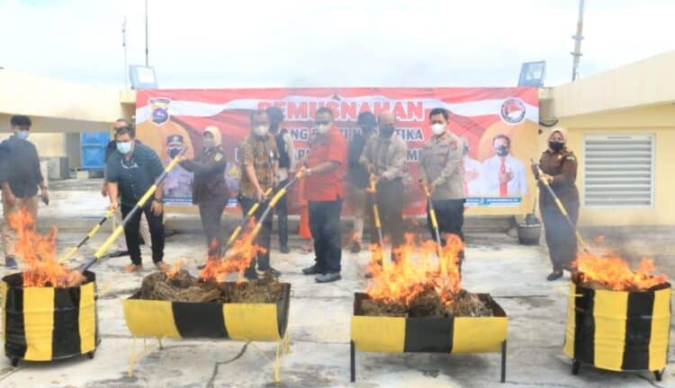 Polda Sumatera Barat (Sumbar) memusnahkan puluhan kilogram narkotika jenis ganja kering yang merupakan hasil sitaan dalam pengungkapan kasus narkoba