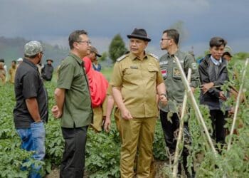 Bupati Solok, H. Epyardi Asda memperkenalkan potensi kentang di daerah Nagari Kampuang Batu Dalam, Kabupaten Solok kepada pimpinan divisi agro PT. Indofood, Surya Tolim.(Ist)