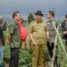 Bupati Solok, H. Epyardi Asda memperkenalkan potensi kentang di daerah Nagari Kampuang Batu Dalam, Kabupaten Solok kepada pimpinan divisi agro PT. Indofood, Surya Tolim.(Ist)