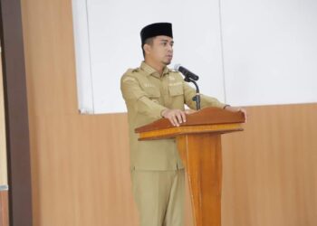 Wakil Wali Kota Solok, Dr. H. Ramadhani Kirana Putra.(Prokomp)