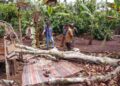 Lokasi tempat korban tertimpa pohon durian yang tumbang akibat angin puting beliung.(Ist)