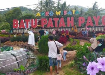 Objek wisata Agro Batu Patah Payo.(Ist)