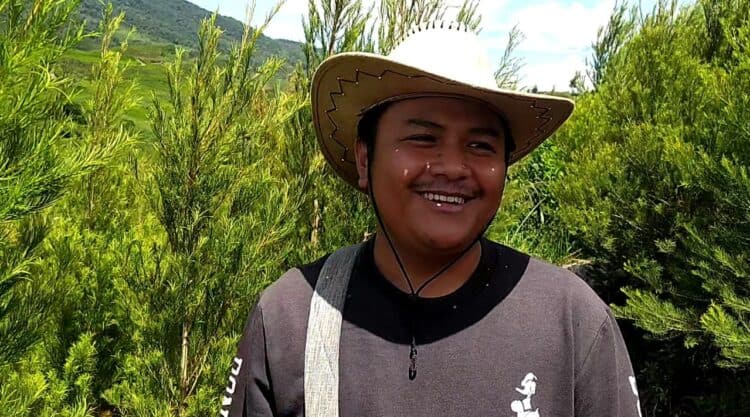 Tony Devisa saat berada di kebun Tea Tree miliknya di daerah Kayu Jao, Kabupaten Solok.(Klikpositif)