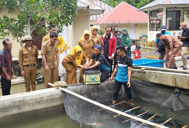 Pembekalan teknik budidaya ikan bagi Pokdakan di Kota Solok yang dilaksanakan BBI Sarasah Aia Batimpo dengan DKP Sumbar.(Ist)