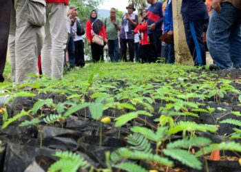 Tertarik dengan Kaliandra dan Ikan Bilih, Peserta Penas Petani dan Nelayan ke-XVI Kunjungi Semen Padang