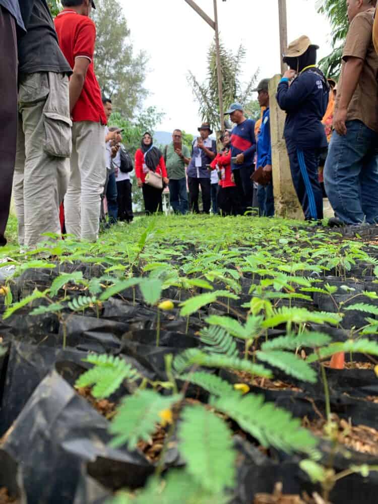 Tertarik dengan Kaliandra dan Ikan Bilih, Peserta Penas Petani dan Nelayan ke-XVI Kunjungi Semen Padang