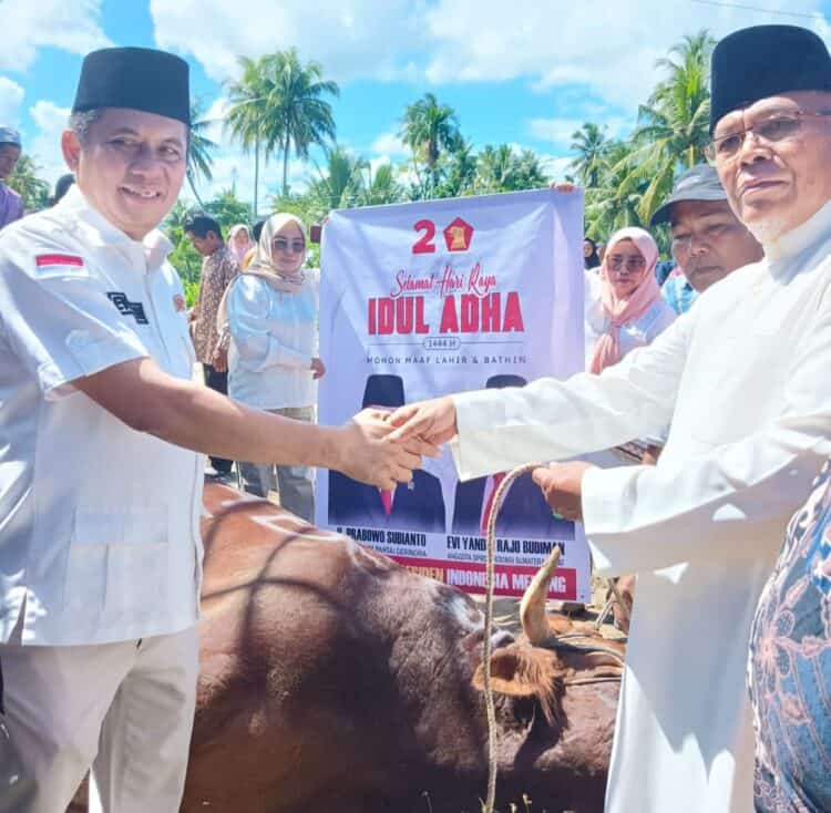 Prabowo Berkurban Sapi 1,2 Ton di Sumbar