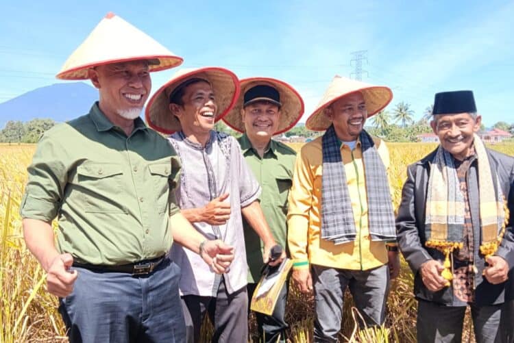 Nurkhalis (dua dari kanan) bersama Gubernur Sumbar Mahyeldi, Wakil Bupati Agam Irwan Fikri dan lainnya pada panen padi organik di Hamparan Gobah, Nagari Koto Tangah, Kecamatan Tilatang Kamang, Agam, Jumat (16/6/2023). (ist)