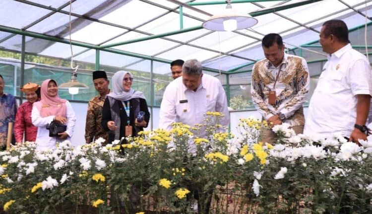 General Manager PLN Unit Induk Distribusi (UID) Sumatera Barat, Eric Rossi Priyo Nugroho bersama Wako Solok, H. Zul Elfian melihat langsung kebun Bunga Krisan di Batu Patah Payo.(Prokomp)