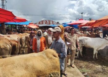 Tim Satgas Pangan Kabupaten Solok melakukan pemantauan dan pemeriksaan di Pasar Muaro Paneh.(Ist)