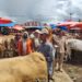 Tim Satgas Pangan Kabupaten Solok melakukan pemantauan dan pemeriksaan di Pasar Muaro Paneh.(Ist)