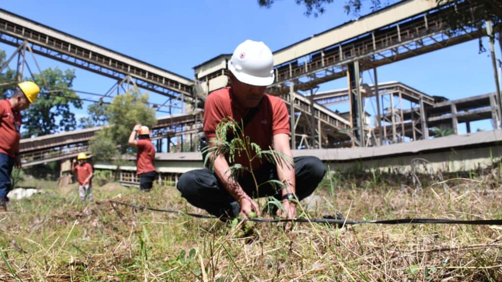 Semen Padang Siapkan 19 Ha Lahan Emplasemen Perusahaan untuk Kaliandra