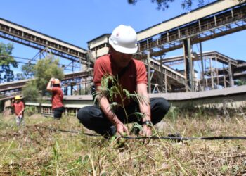 Semen Padang Siapkan 19 Ha Lahan Emplasemen Perusahaan untuk Kaliandra