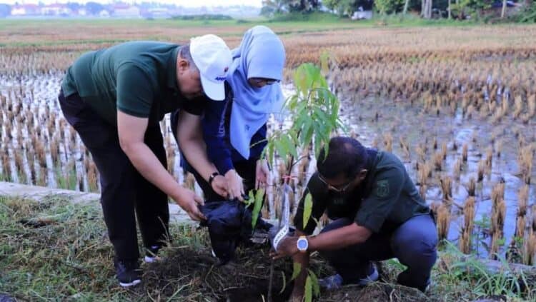 Wali Kota Solok, H. Zul Elfian bersama ketua TP PKK, Zulmiyetti Zul Elfian saat melakukan penanaman pohon di Kelurahan VI Suku.(Prokomp)