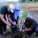 Wali Kota Solok, H. Zul Elfian bersama ketua TP PKK, Zulmiyetti Zul Elfian saat melakukan penanaman pohon di Kelurahan VI Suku.(Prokomp)