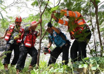 Semen Padang Lakukan Panen Perdana Kaliandra di Area Reklamasi Bekas Tambang Batu Kapur.