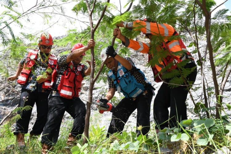 Semen Padang Lakukan Panen Perdana Kaliandra di Area Reklamasi Bekas Tambang Batu Kapur.