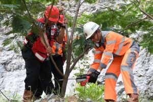  Direktur Operasi PT Semen Padang Indrieffouny Indra melakukan panen perdana tanaman kaliandra di area reklamasi bekas tambang batu kapur. Kaliandra yang ditanam pada tahun 2022 ini akan digunakan untuk mensubstitusi bahan bakar batubara pada proses produksi semen