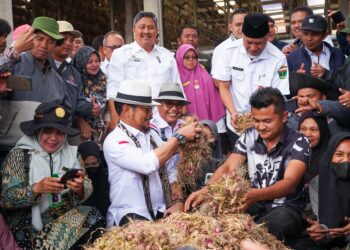 Mentan Syahrul Yasin Limpo bersama Bupati Solok, H. Epyardi Asda saat meninjau produksi bawang di daerah Sungai Nanam.(Ist)