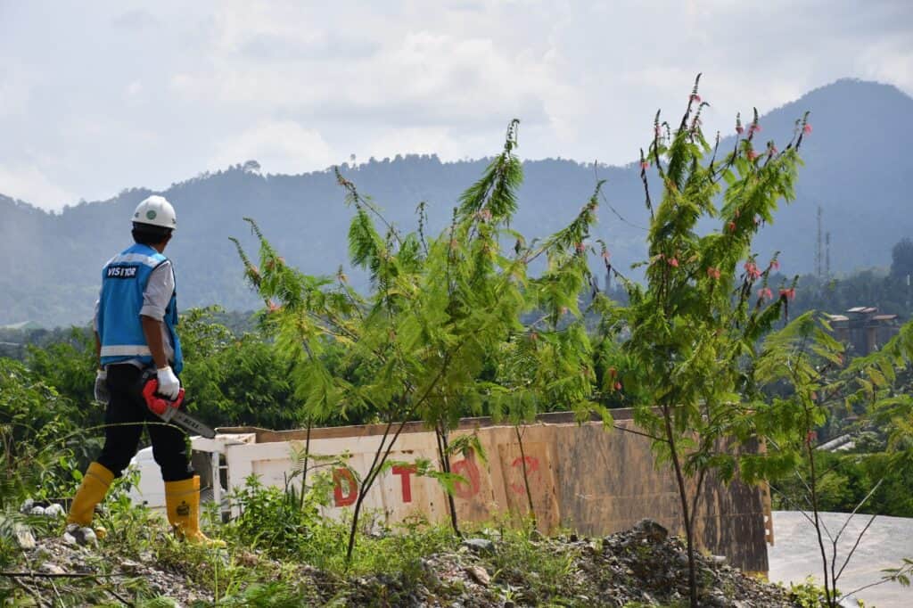 Berdayakan Masyarakat Lewat Tanaman Energi Masa Depan