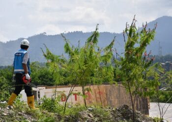 Berdayakan Masyarakat Lewat Tanaman Energi Masa Depan