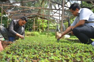 Berdayakan Masyarakat Lewat Tanaman Energi Masa Depan