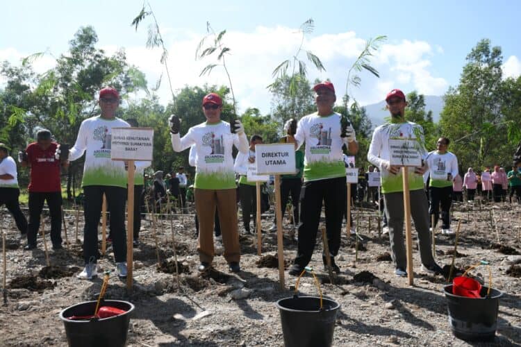 Insan Semen Padang Tanam 2000 Batang Kaliandra Merah