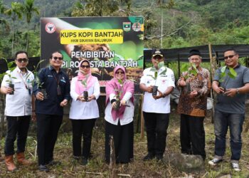 Teks foto: 3. Dari Kiri ke Kanan : Kepala Unit CSR PT Semen Padang Dedi Muhammad Sidiq, Kepala Departemen Komunikasi & Hukum Perusahaan PT Semen Padang, Iskandar Z Lubis, Kepala Dinas Pertanian Kota Padang Yoice Yuliani, Kepala Dinas Perkebunan Tanaman Pangan dan Holtikultura Provinsi Sumbar Febrina Tri Susila Putri, Camat Pauh Ronny, pengurus KAN Limau Manis Syarifuddin Dt Bungsu, dan Lurah Limau Manis Selatan, foto bersama pada acara penanaman 1.6000 bibit Kopi Robusta Bantjah, Rabu (13/12/2023). Penanaman bibit kopi itu dilakukan usai acara penyerahan 1.6000 bibit Kopi Robusta Bantjah kepada Kelompok Tani Kopi HKm Sikayan Balumuik.