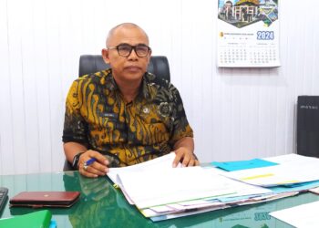 Kepala DPPKB Kota Solok, Ardinal