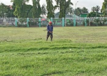 Petugas DLH Kota Solok melakukan pemangkasan rumput lapangan Merdeka.(Ist)