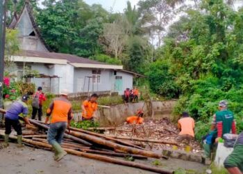 Warga bersama petugas BPBD dan DLH membersihkan bantaran Barang Binguang dari tumpukan sampah plastik dan kayu.(Ist)