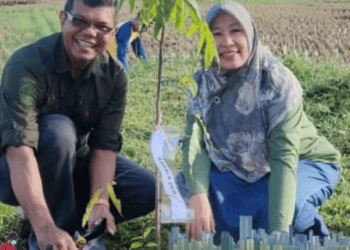 Kepala Dinas Lingkungan Hidup Kota Solok, Edrizal melakukan penanaman pohon dalam rangka pelestarian lingkungan.(Ist)