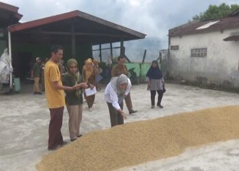 Petugas Dinas Pangan Kota Solok melakukan pemeriksaan proses produksi beras di salah satu usaha penggilingan padi di Kota Solok.(Ist)