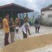 Petugas Dinas Pangan Kota Solok melakukan pemeriksaan proses produksi beras di salah satu usaha penggilingan padi di Kota Solok.(Ist)