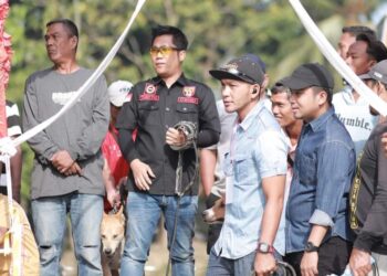 Wakil Wali Kota Solok, Dr. Ramadhani Kirana Putra menyaksikan langsung Alek Buru Babi di Kelurahan Nan Balimo.(Prokomp)